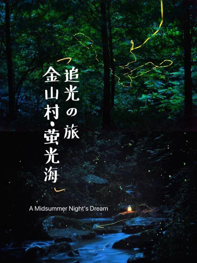 追云者编年史